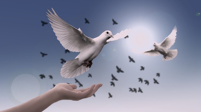Orando a Dios: Una guía completa para fortalecer tu relación espiritual.